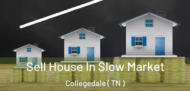  Sell House In Slow Market Collegedale ( TN )