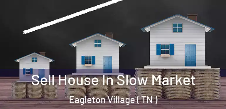  Sell House In Slow Market Eagleton Village ( TN )