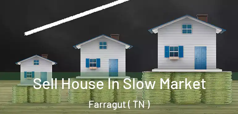  Sell House In Slow Market Farragut ( TN )