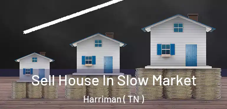  Sell House In Slow Market Harriman ( TN )
