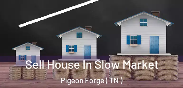  Sell House In Slow Market Pigeon Forge ( TN )
