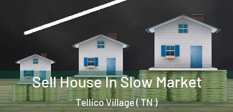  Sell House In Slow Market Tellico Village ( TN )