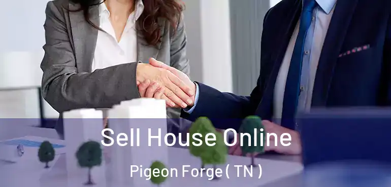  Sell House Online Pigeon Forge ( TN )