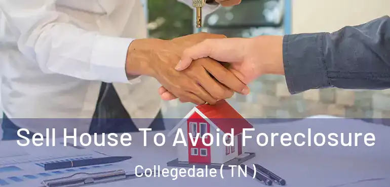  Sell House To Avoid Foreclosure Collegedale ( TN )