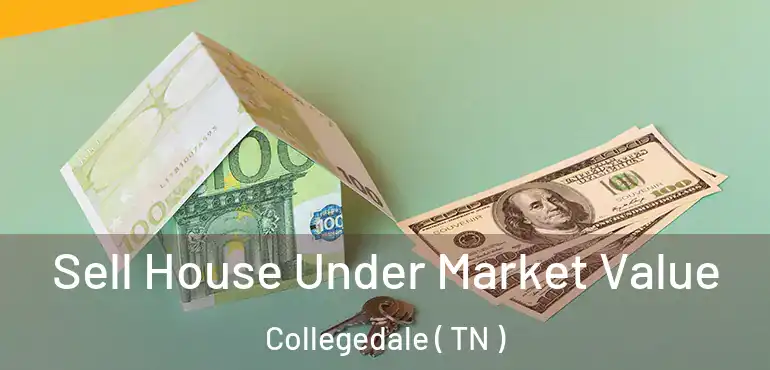  Sell House Under Market Value Collegedale ( TN )
