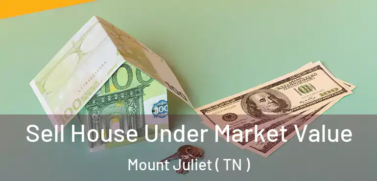  Sell House Under Market Value Mount Juliet ( TN )