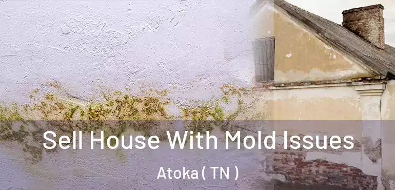  Sell House With Mold Issues Atoka ( TN )