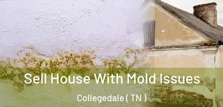  Sell House With Mold Issues Collegedale ( TN )