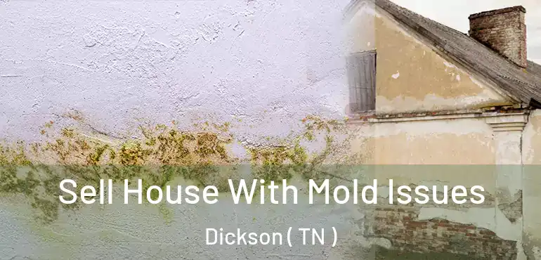  Sell House With Mold Issues Dickson ( TN )