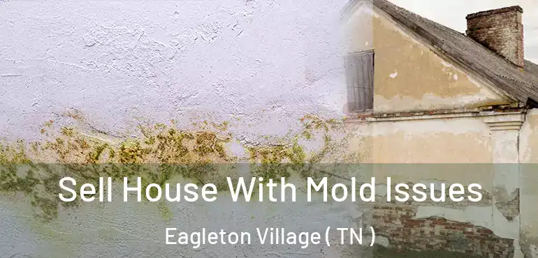  Sell House With Mold Issues Eagleton Village ( TN )