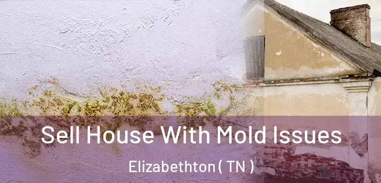  Sell House With Mold Issues Elizabethton ( TN )