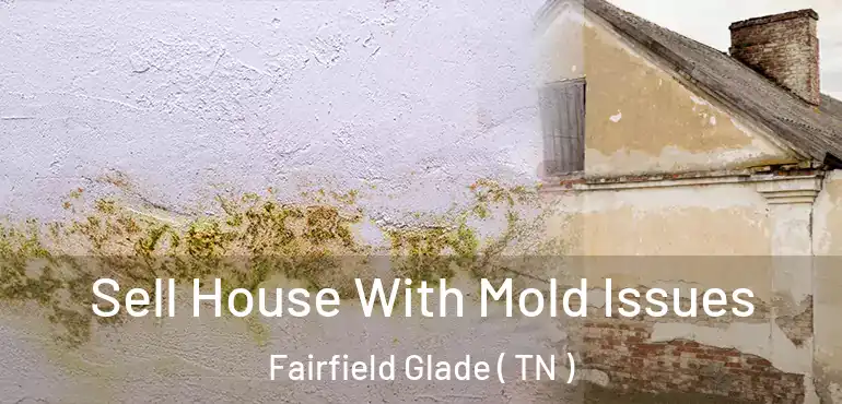  Sell House With Mold Issues Fairfield Glade ( TN )