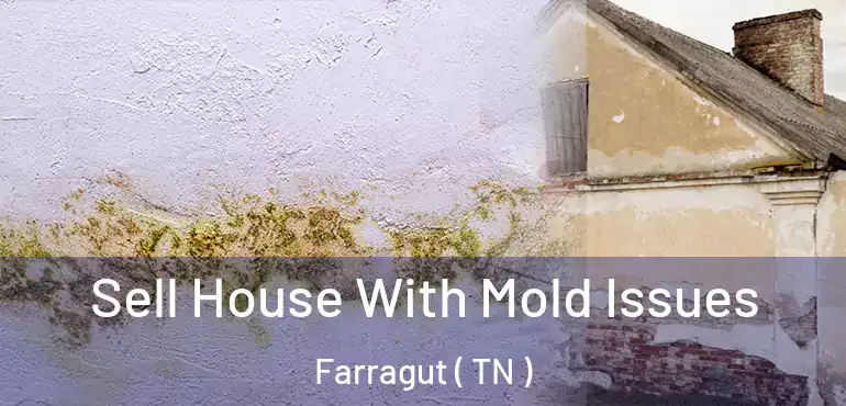  Sell House With Mold Issues Farragut ( TN )