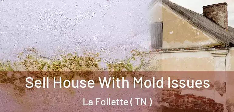  Sell House With Mold Issues La Follette ( TN )