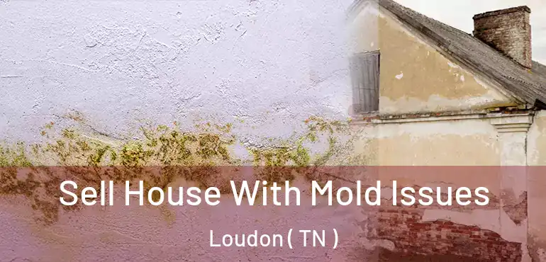  Sell House With Mold Issues Loudon ( TN )