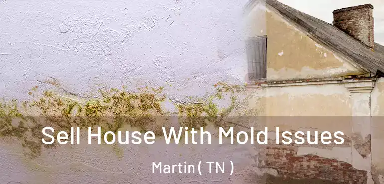  Sell House With Mold Issues Martin ( TN )