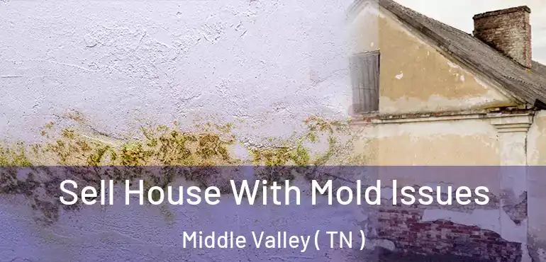  Sell House With Mold Issues Middle Valley ( TN )
