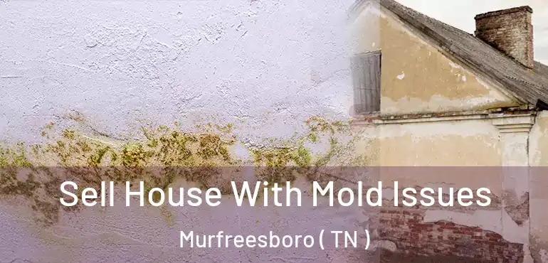  Sell House With Mold Issues Murfreesboro ( TN )