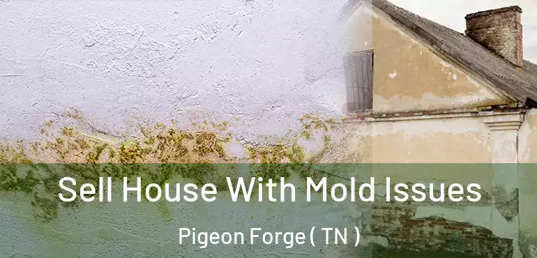  Sell House With Mold Issues Pigeon Forge ( TN )