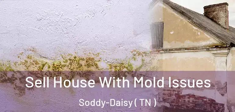  Sell House With Mold Issues Soddy-Daisy ( TN )