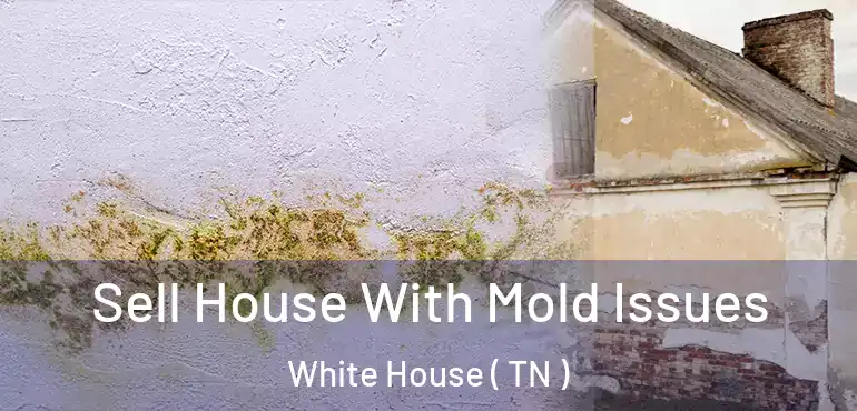  Sell House With Mold Issues White House ( TN )