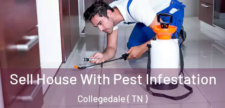  Sell House With Pest Infestation Collegedale ( TN )