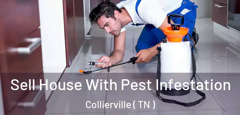  Sell House With Pest Infestation Collierville ( TN )