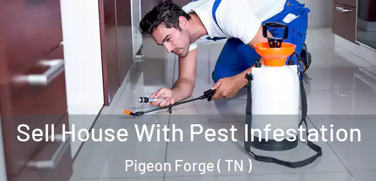  Sell House With Pest Infestation Pigeon Forge ( TN )