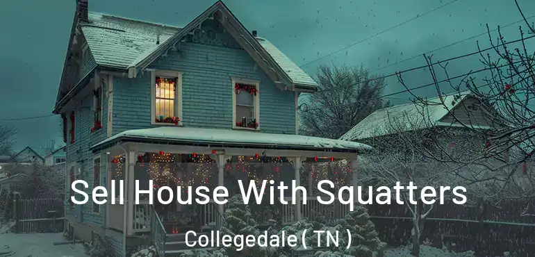  Sell House With Squatters Collegedale ( TN )