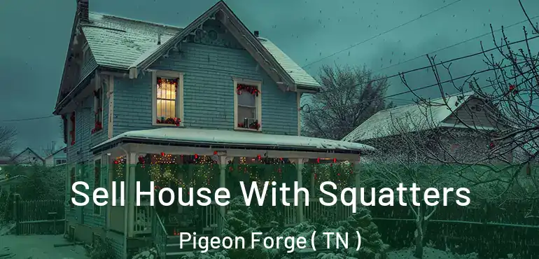  Sell House With Squatters Pigeon Forge ( TN )