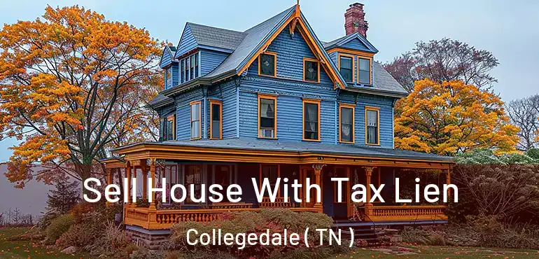  Sell House With Tax Lien Collegedale ( TN )