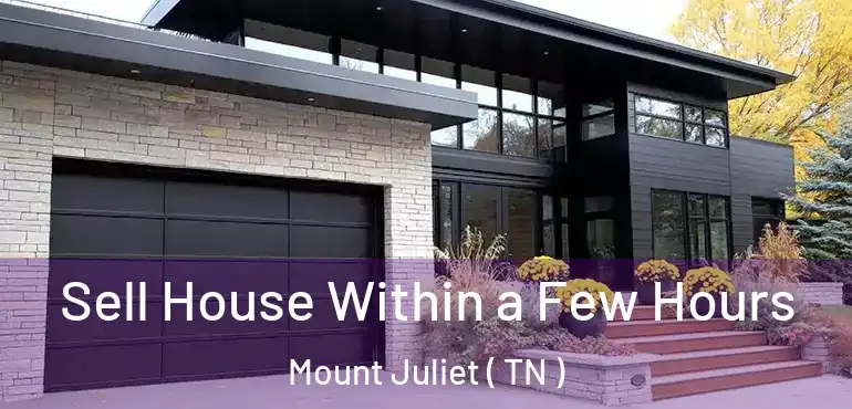  Sell House Within a Few Hours Mount Juliet ( TN )