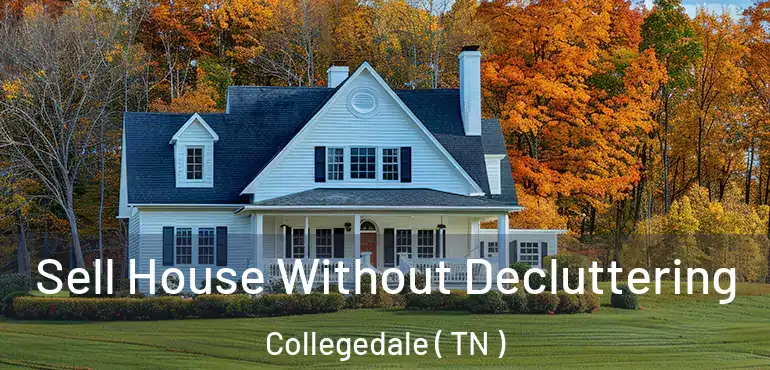  Sell House Without Decluttering Collegedale ( TN )