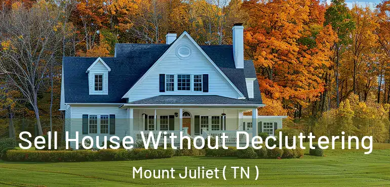  Sell House Without Decluttering Mount Juliet ( TN )