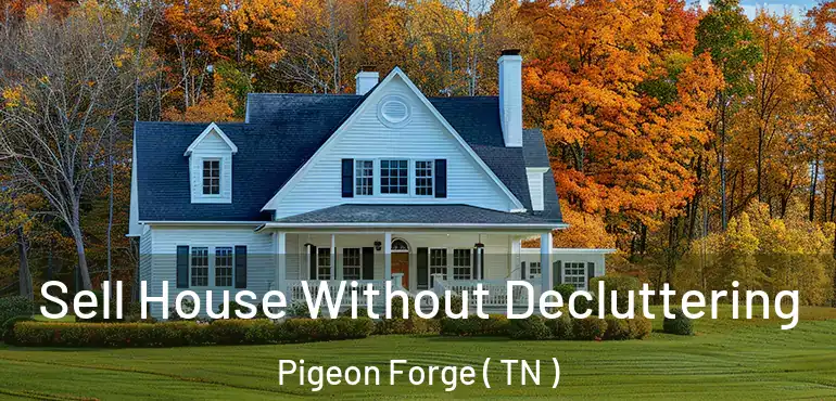  Sell House Without Decluttering Pigeon Forge ( TN )