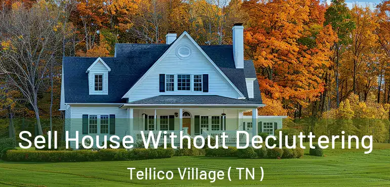  Sell House Without Decluttering Tellico Village ( TN )