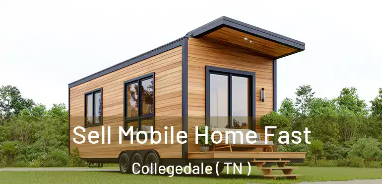  Sell Mobile Home Fast Collegedale ( TN )