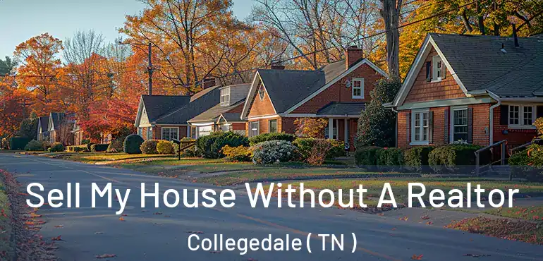  Sell My House Without A Realtor Collegedale ( TN )