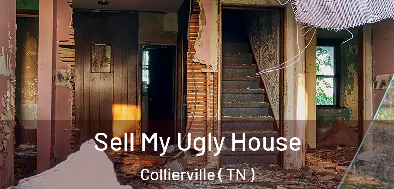  Sell My Ugly House Collierville ( TN )