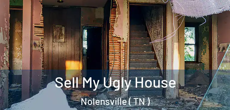  Sell My Ugly House Nolensville ( TN )