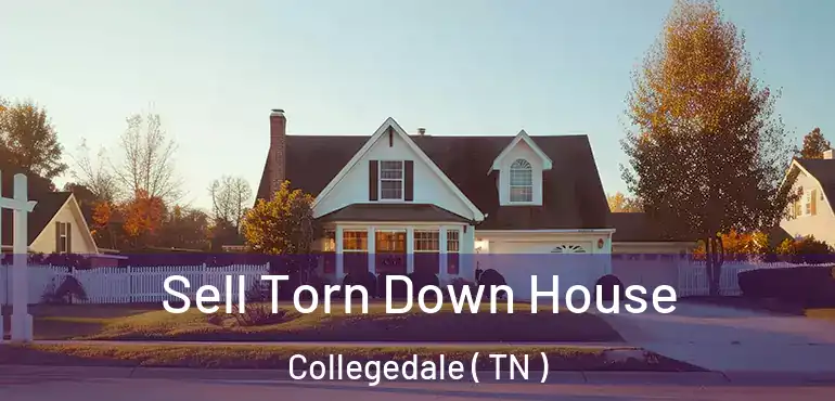  Sell Torn Down House Collegedale ( TN )