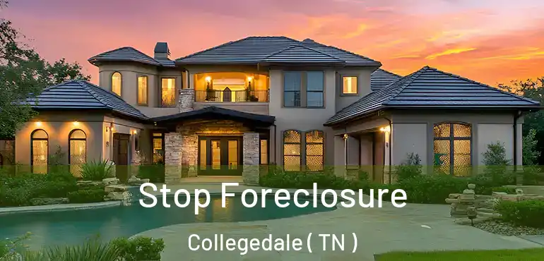  Stop Foreclosure Collegedale ( TN )