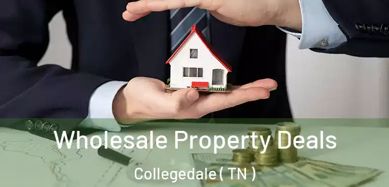  Wholesale Property Deals Collegedale ( TN )